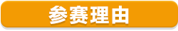 参赛理由