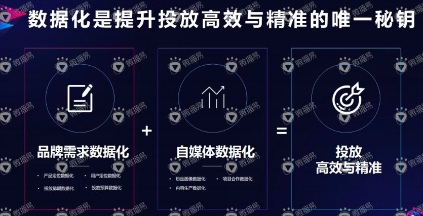 微播易_徐扬_自媒体营销_数据猿-4