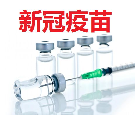 网路安全公司_越南政府黑客_窃取数据_中国新冠疫苗_疫苗研发_数据猿-5
