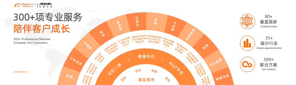 阿里云李津_技术_数据猿-1