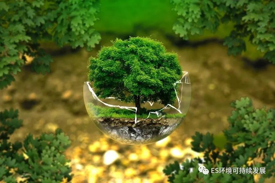 浦江_环境可持续发展_上海-1