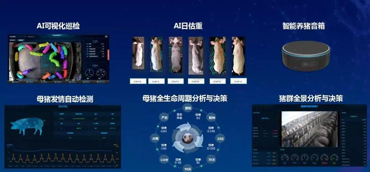 超级猪_生物识别_智能化进程-11