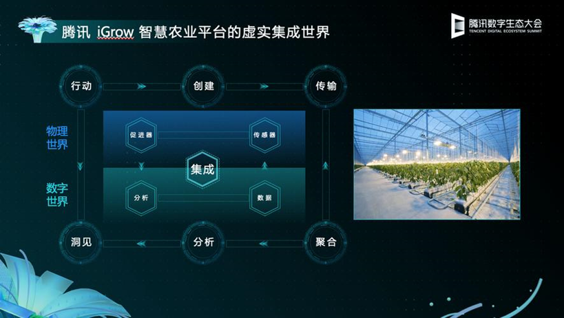 互联网_农业版图_腾讯-5