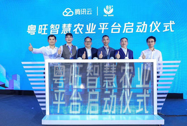 互联网_农业版图_腾讯-10