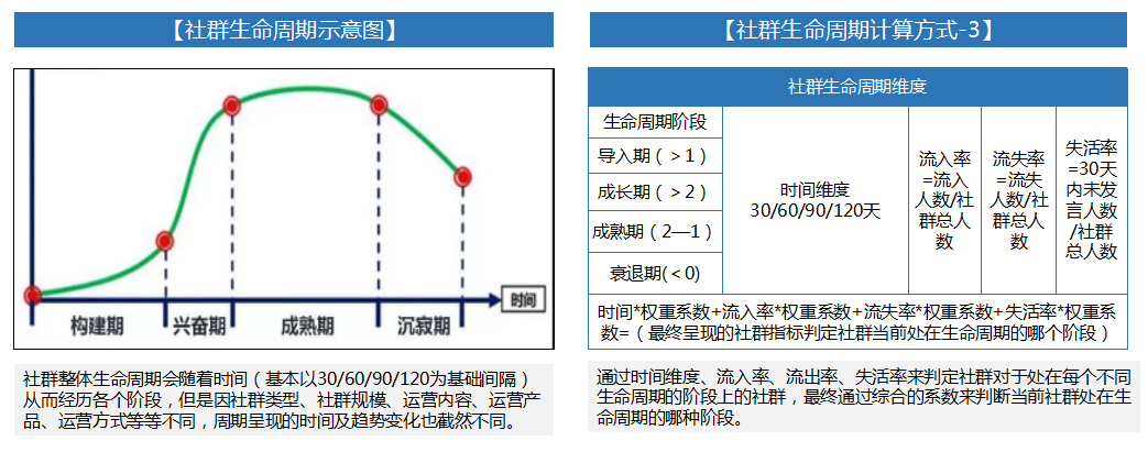 金猿案例展_福特电马_一键五联私域流量运营-10