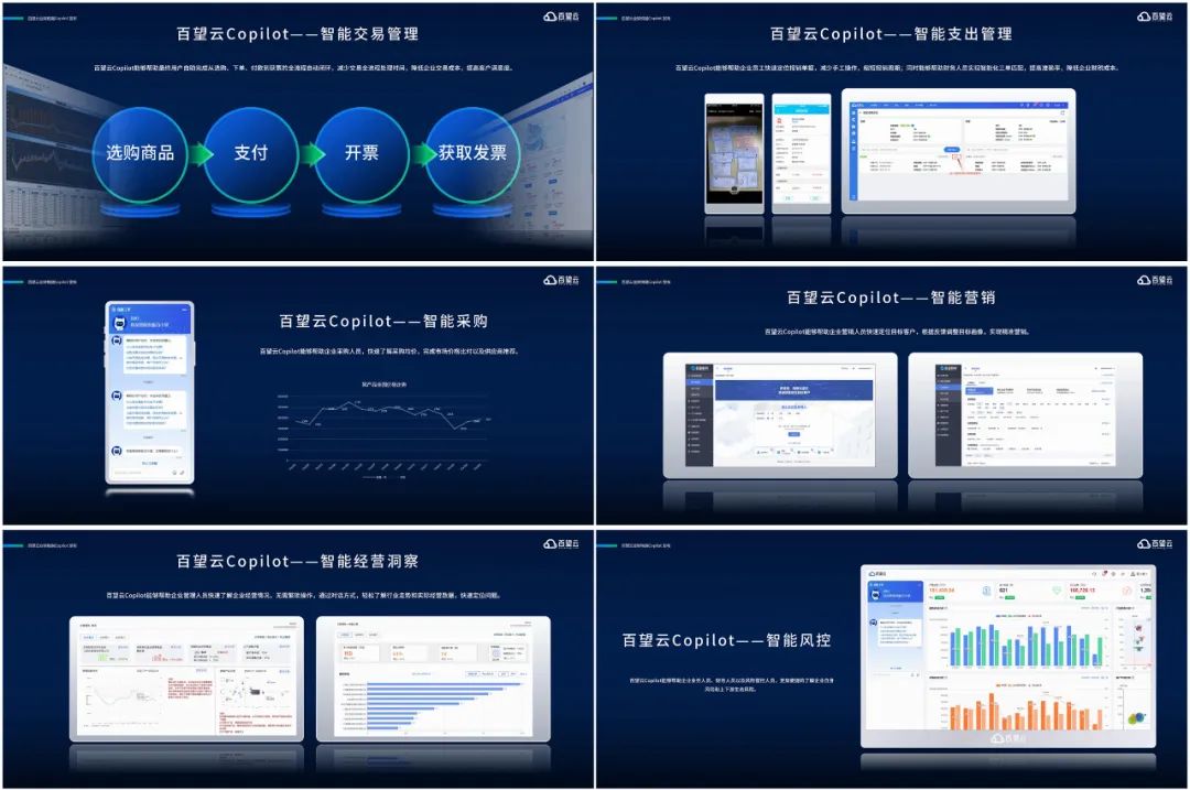 百望云_服贸会_财税融Copilot-6