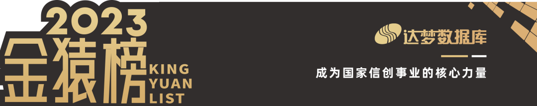 2023_大数据产业_国产化优秀代表厂商-6