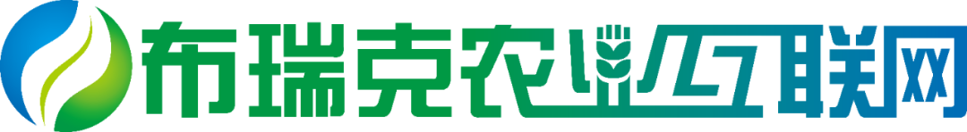 2024_中国数据要素_产业图谱1.0版-4