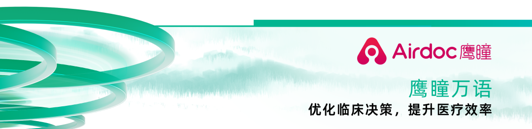 2024_中国数智产业_AI大模型-14