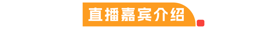 ​数据编织_敏捷BI_AI时代-2