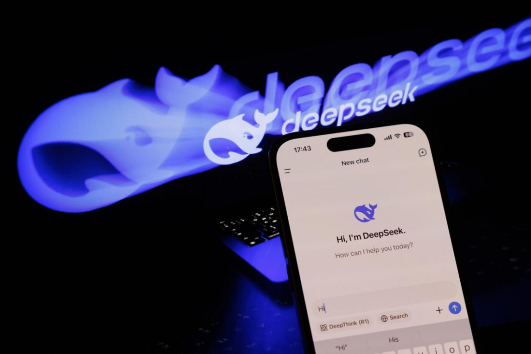 DeepSeek_AI_大语言模型（LLM）-2