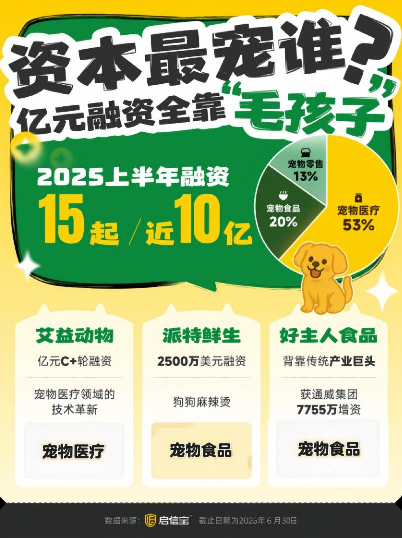 启信宝_宠物行业报告_毛孩子经济-2