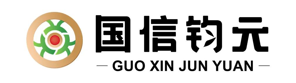 数据要素资产化需以“务实落地”破局，以“因业施策”筑基
