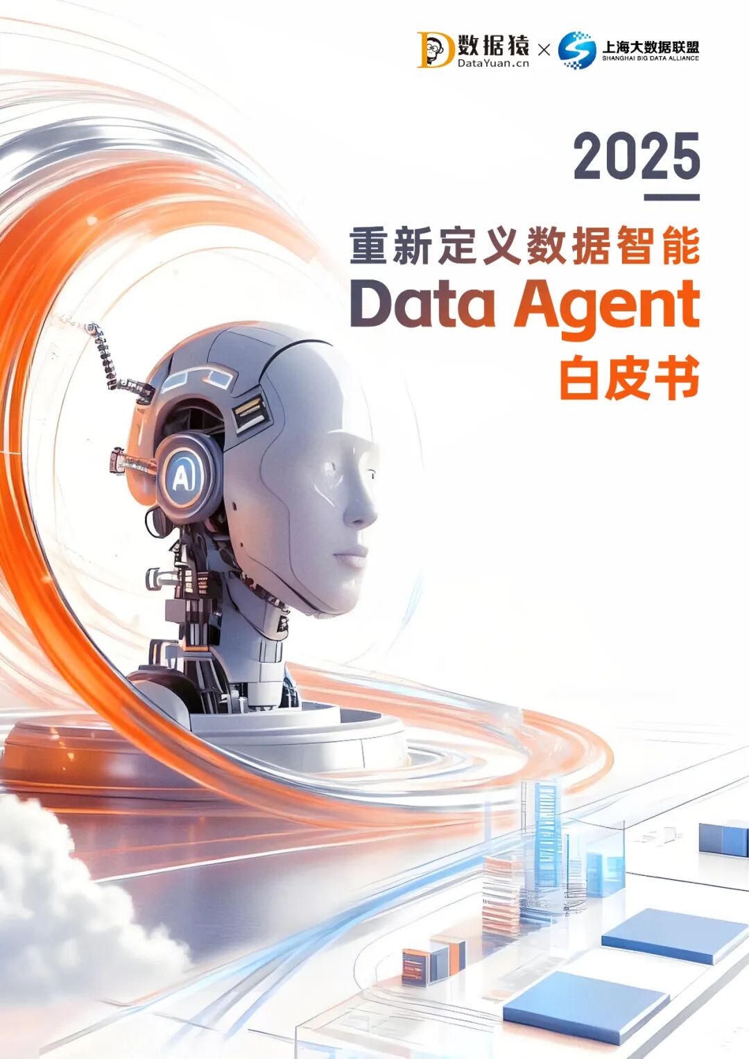 AI_Infra_Data_Agent_金猿大数据产业-4