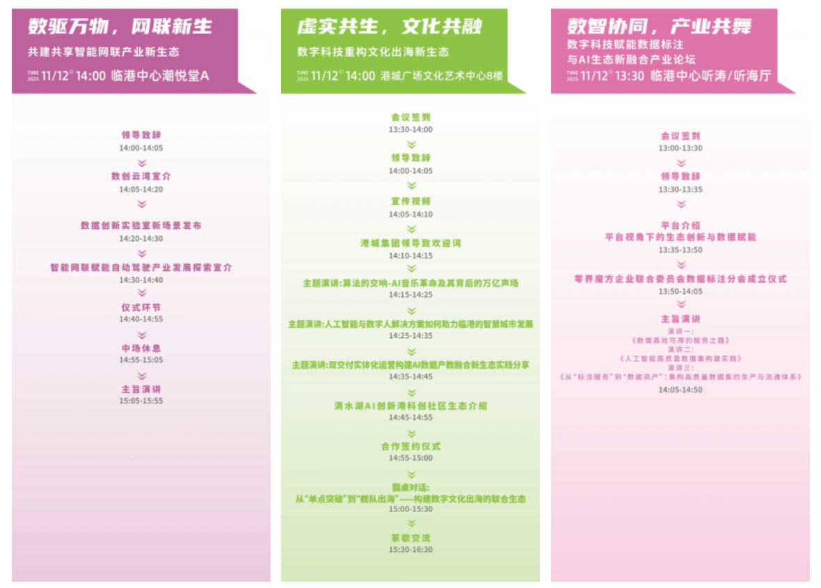 2025_国际数据_经济产业合作大会-3