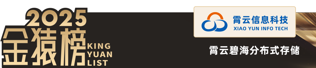 2025_中国大数据产业_创新服务产品-13