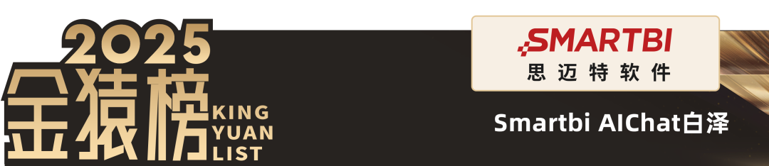 2025_中国大数据产业_创新服务产品-11