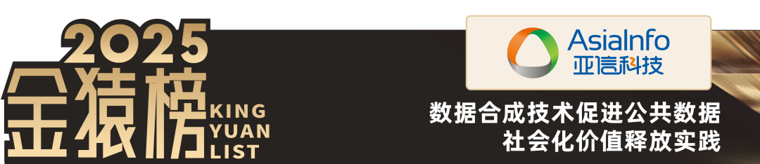 2025_大数据产业_数据要素-10