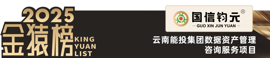 2025_大数据产业_数据要素-5