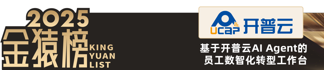 2025_中国大数据产业_AI_Infra领先企业-5