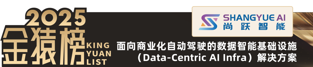 2025_中国大数据产业_AI_Infra领先企业-6