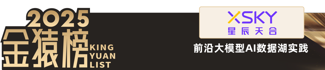 2025_中国大数据产业_AI_Infra领先企业-8