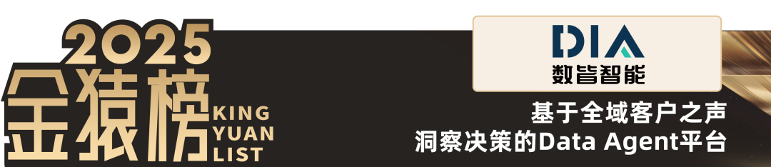 2025_大数据产业_Data_Agent-10