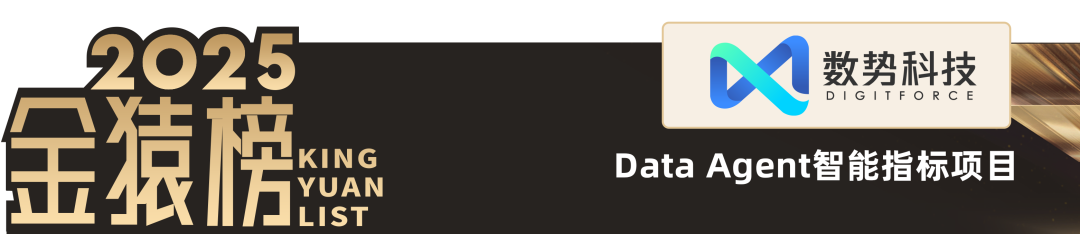 2025_大数据产业_Data_Agent-9