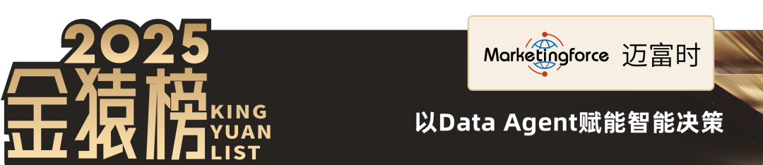 2025_大数据产业_Data_Agent-8