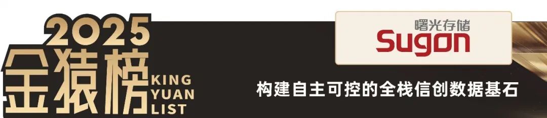 2025_大数据产业_国产化优秀代表厂商-16