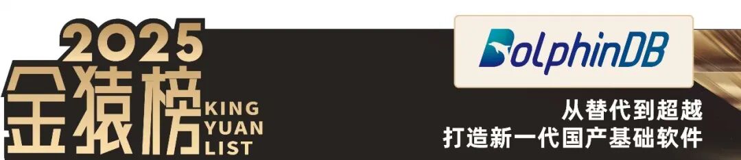 2025_大数据产业_国产化优秀代表厂商-15