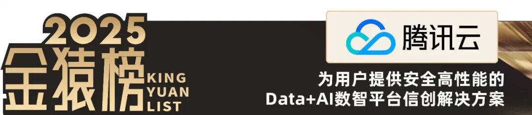 2025_大数据产业_国产化优秀代表厂商-13