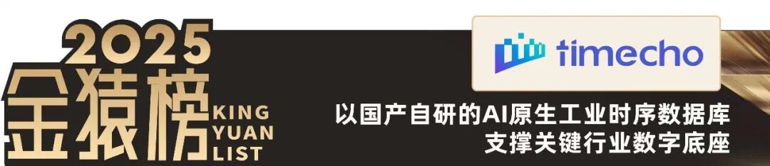 2025_大数据产业_国产化优秀代表厂商-12