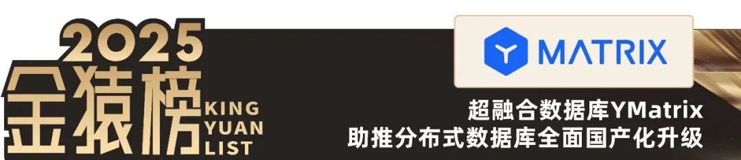 2025_大数据产业_国产化优秀代表厂商-11