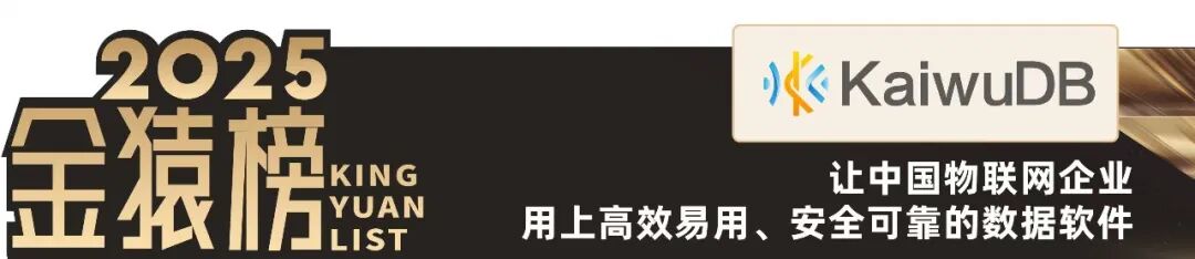 2025_大数据产业_国产化优秀代表厂商-10