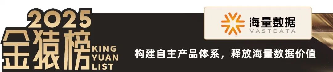 2025_大数据产业_国产化优秀代表厂商-8