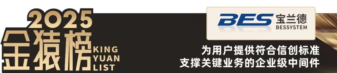 2025_大数据产业_国产化优秀代表厂商-4