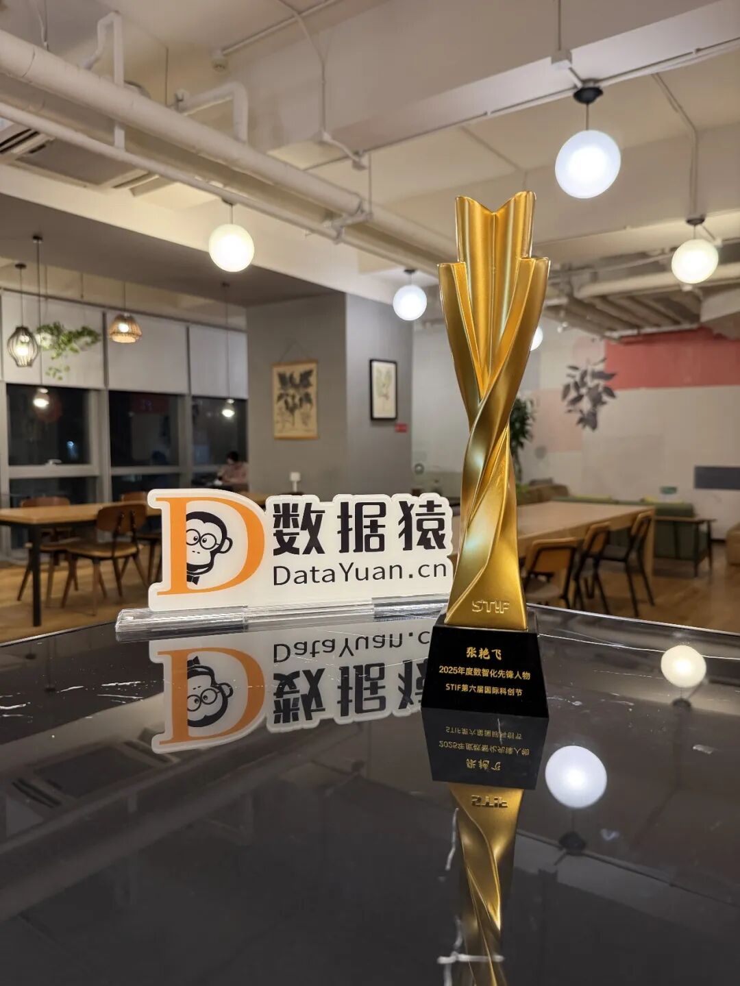 数据猿_张艳飞_STIF2025_数智化先锋人物-3