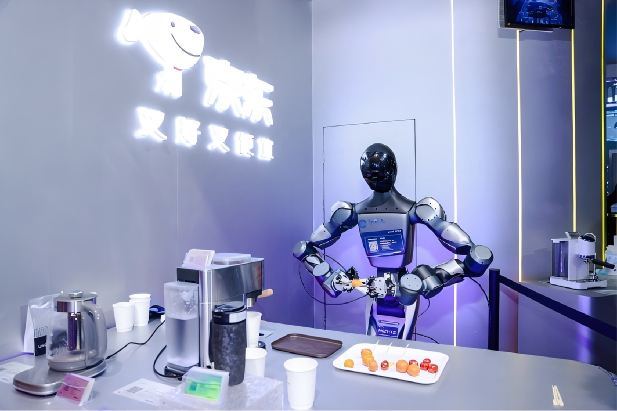 京东_机器人_英伟达_自研大模型-1