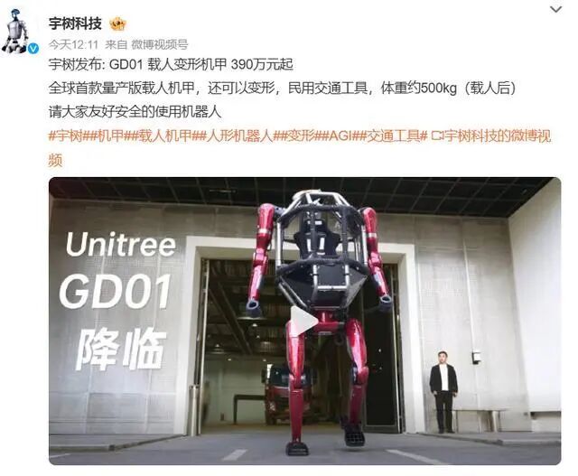 DeepSeek_谷歌_特斯拉_AI芯片-7