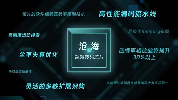 英伟达_云厂商_自研芯片-7