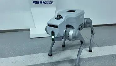 考拉悠然_无界世界模型_WorldArena_2.0-3