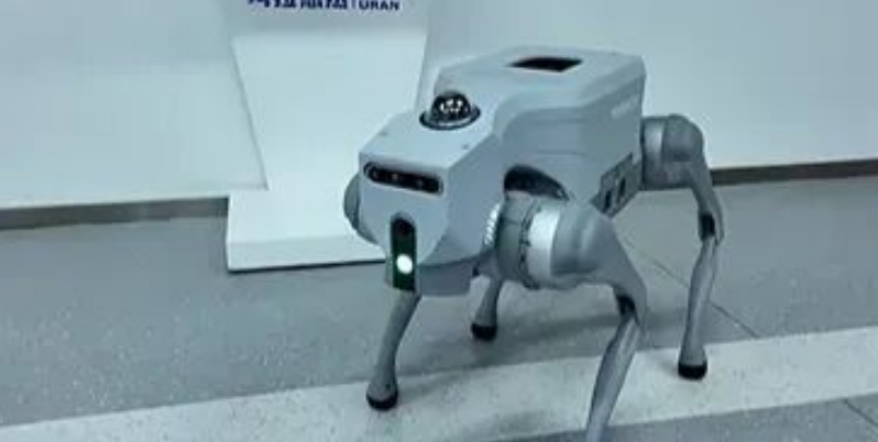 考拉悠然无界再登WorldArena 2.0全球前列，两项核心指标全球第一！